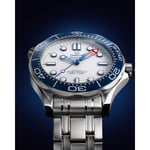 Seamaster Diver 300M