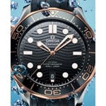 Seamaster Diver 300M