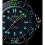 Seamaster Diver 300M