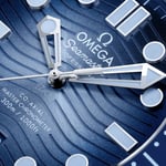 Seamaster Diver 300M