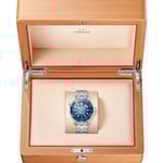 Seamaster Diver 300M