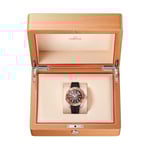 Seamaster Planet Ocean 6000M