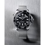 Seamaster Diver 300M