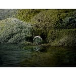 HydroConquest