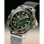 Seamaster Diver 300M