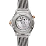 Seamaster Diver 300M