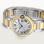 Ballon Bleu de Cartier
