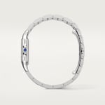 Panthère de Cartier