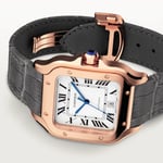 Santos de Cartier