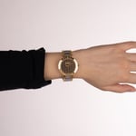 Balmainia Bijou