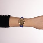 Balmainia Bijou