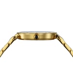 Balmainia Bijou