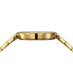 Balmainia Bijou