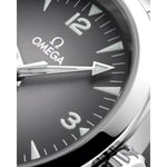 Seamaster Railmaster