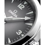 Seamaster Railmaster
