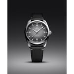 Seamaster Railmaster