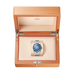 Seamaster 300 41 MM