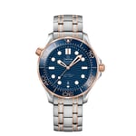 Seamaster Diver 300M Co-Axial Master Chronometer 42 MM