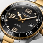 HydroConquest