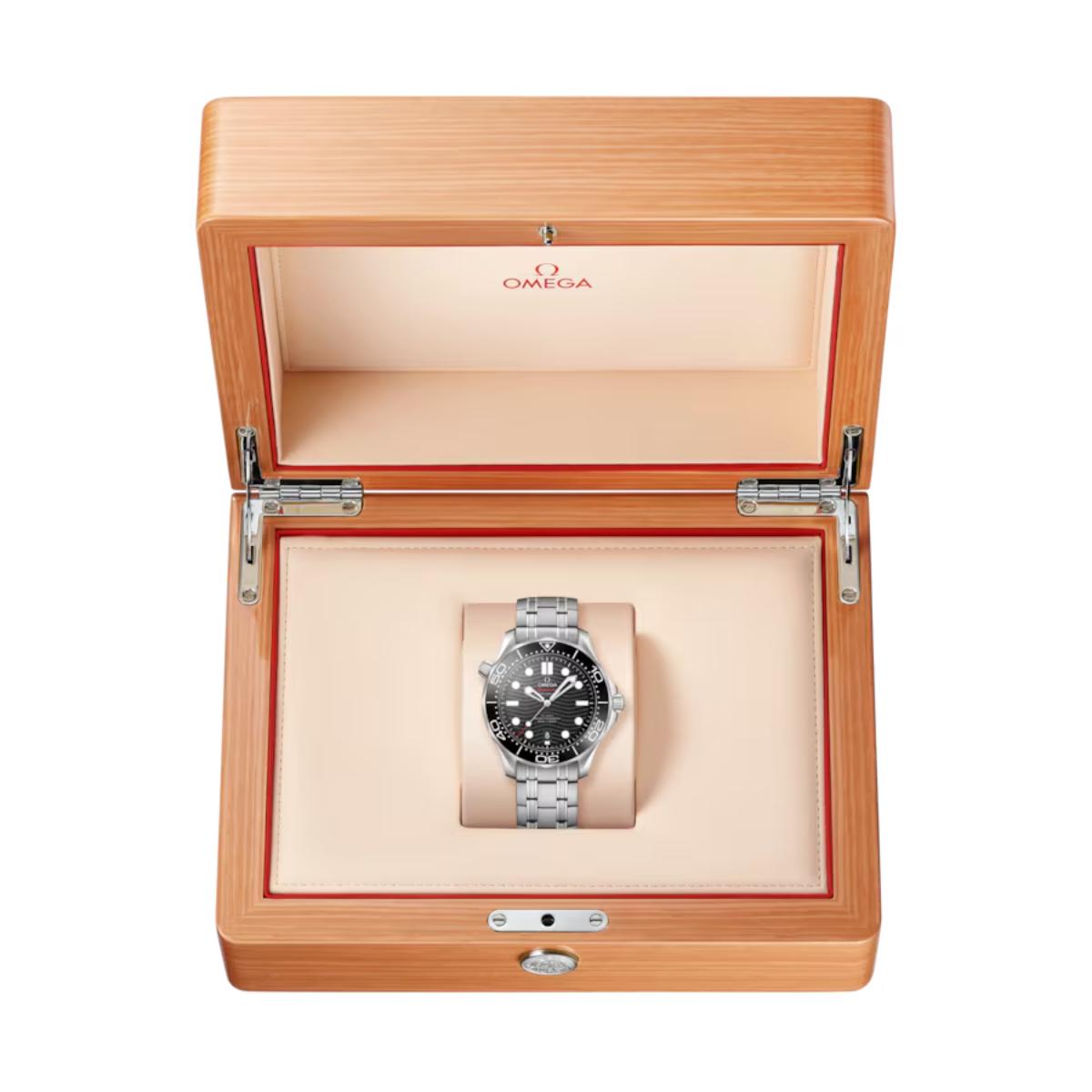 Seamaster Diver 300M