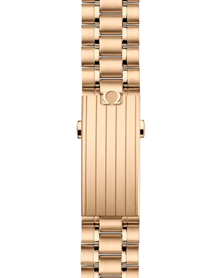 Speedmaster Moonwatch Professional