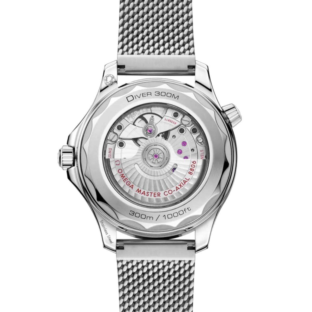 Seamaster Diver 300M