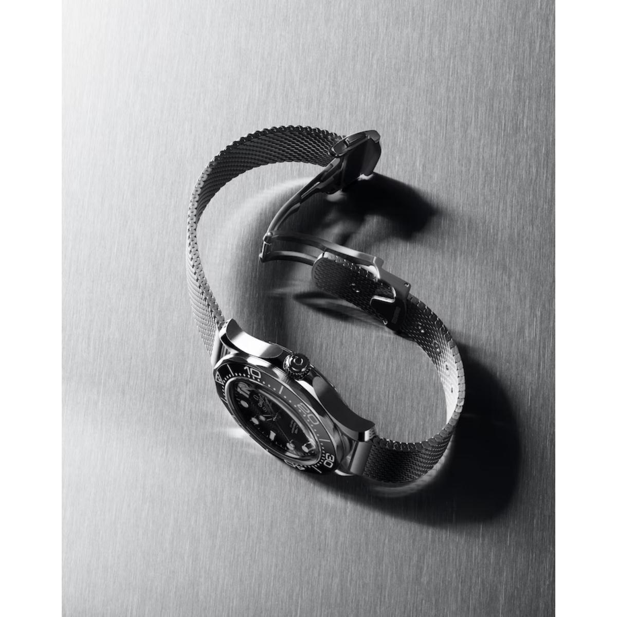 Seamaster Diver 300M