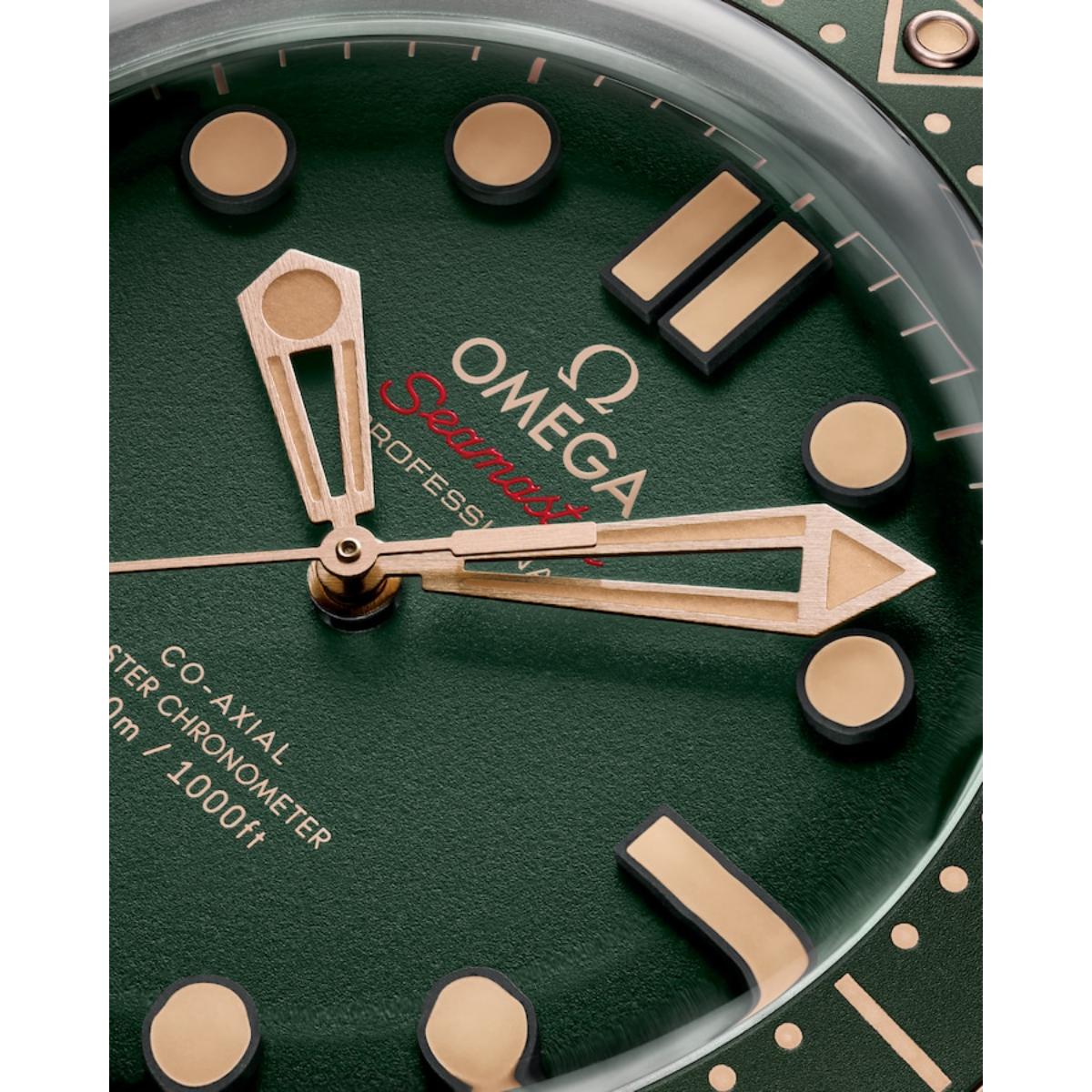 Seamaster Diver 300M