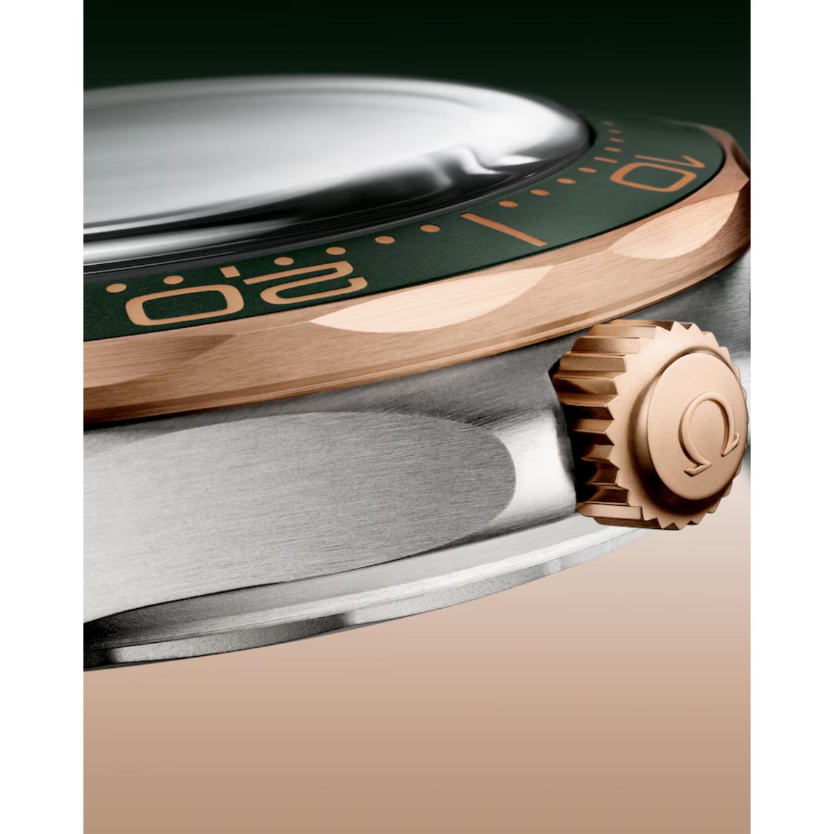 Seamaster Diver 300M