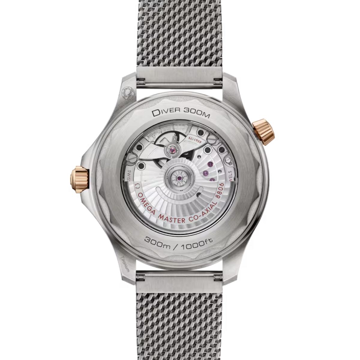 Seamaster Diver 300M