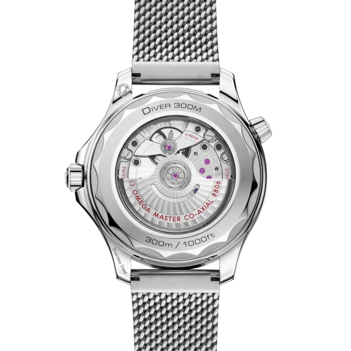 Seamaster Diver 300M