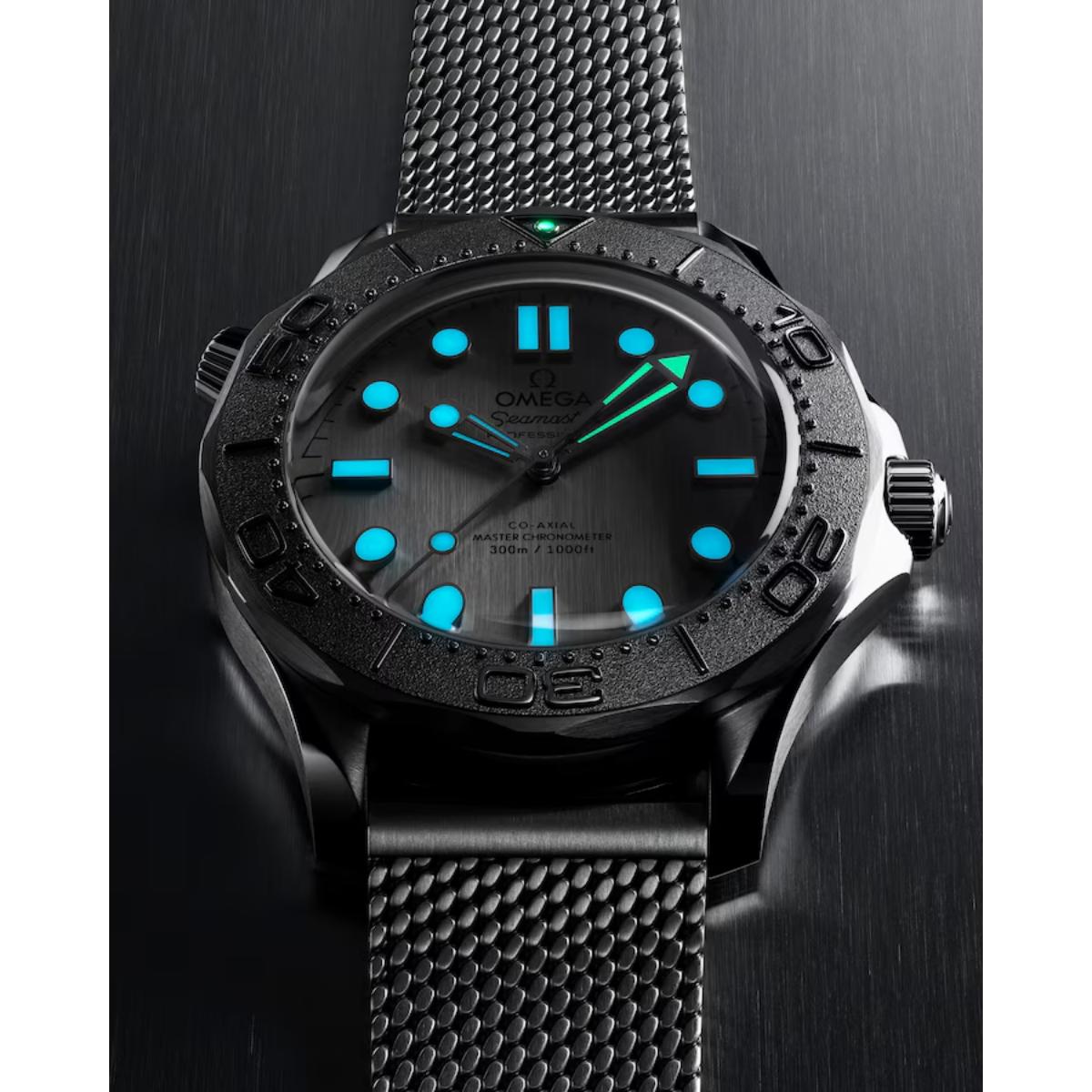 Seamaster Diver 300M