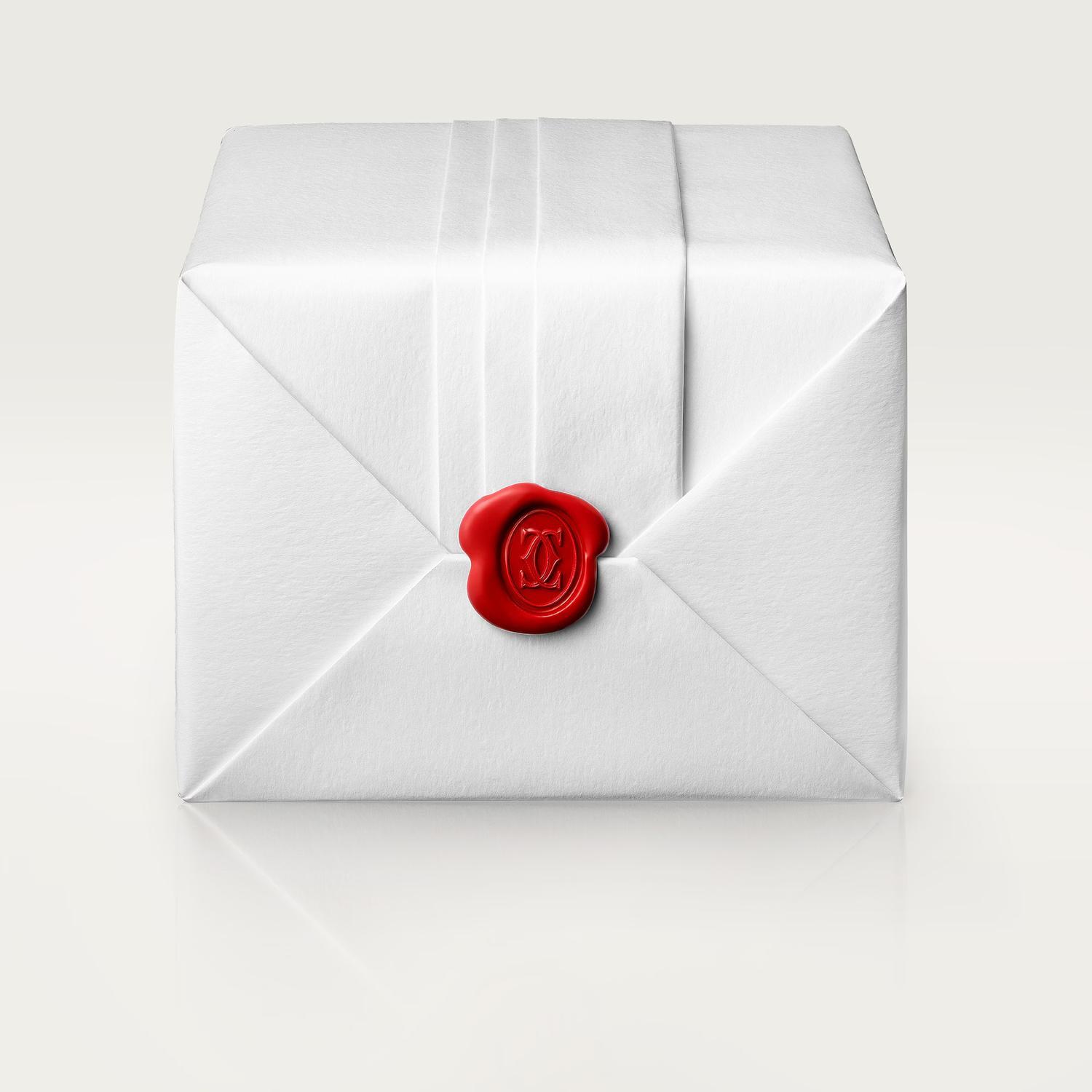 Santos de Cartier Skeleton