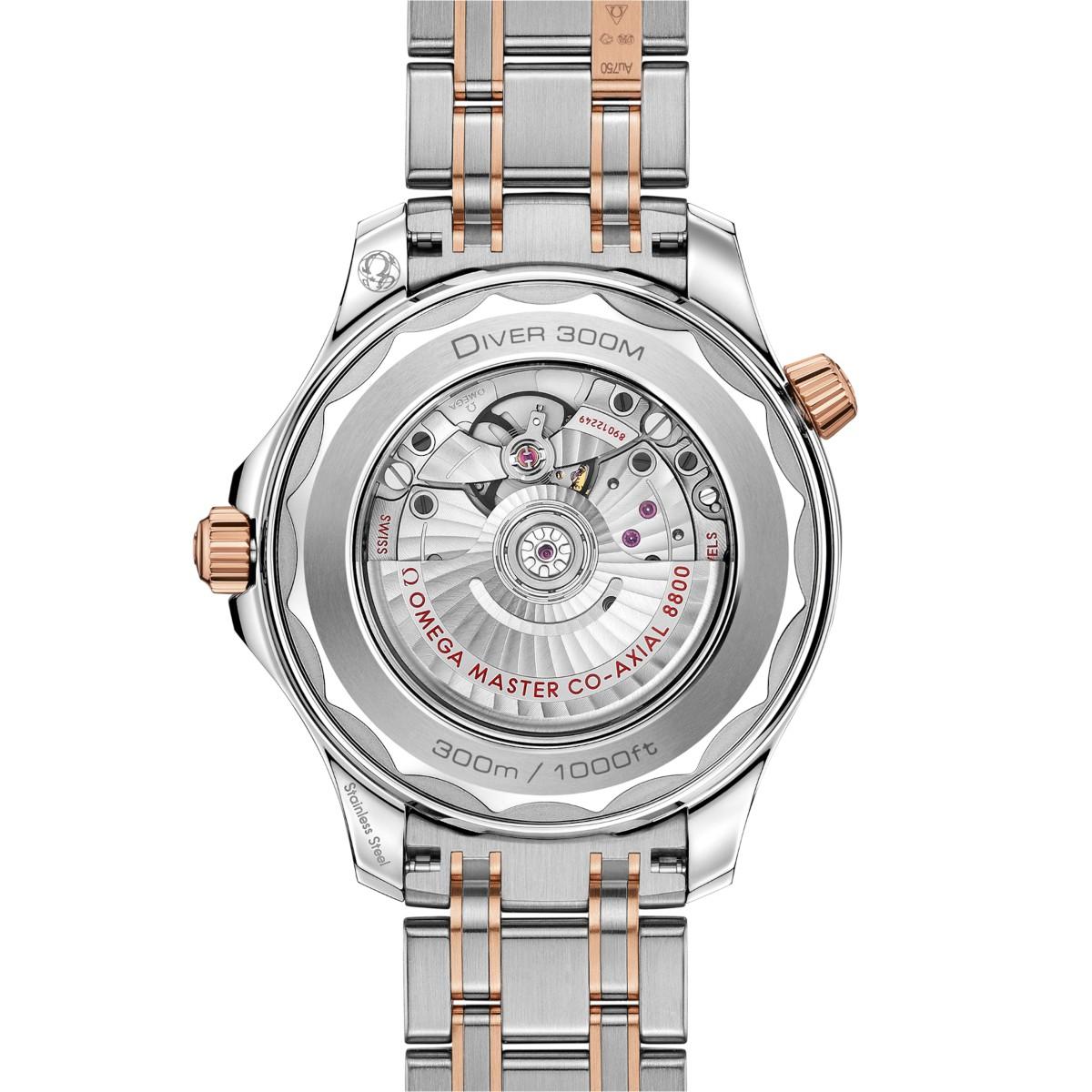 Seamaster Diver 300M