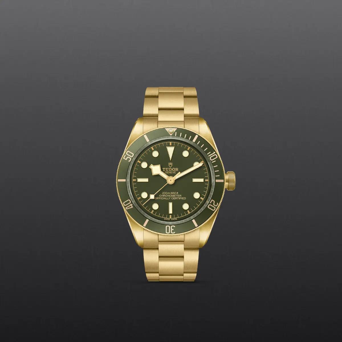 Black Bay 58 18K