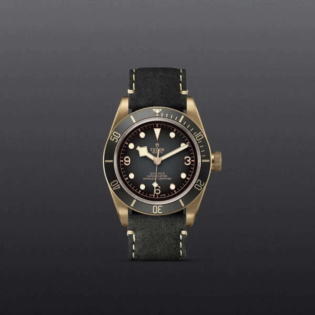 Black Bay Bronze