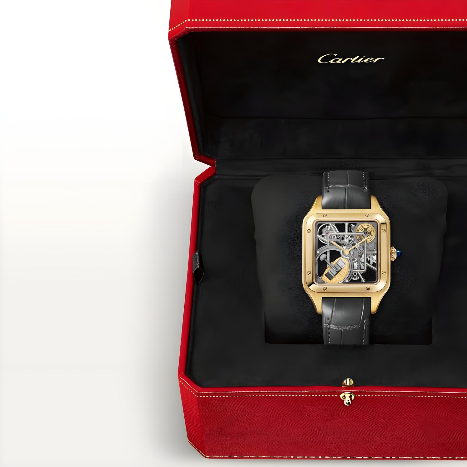 Santos-Dumont Micro-Rotor Skeleton