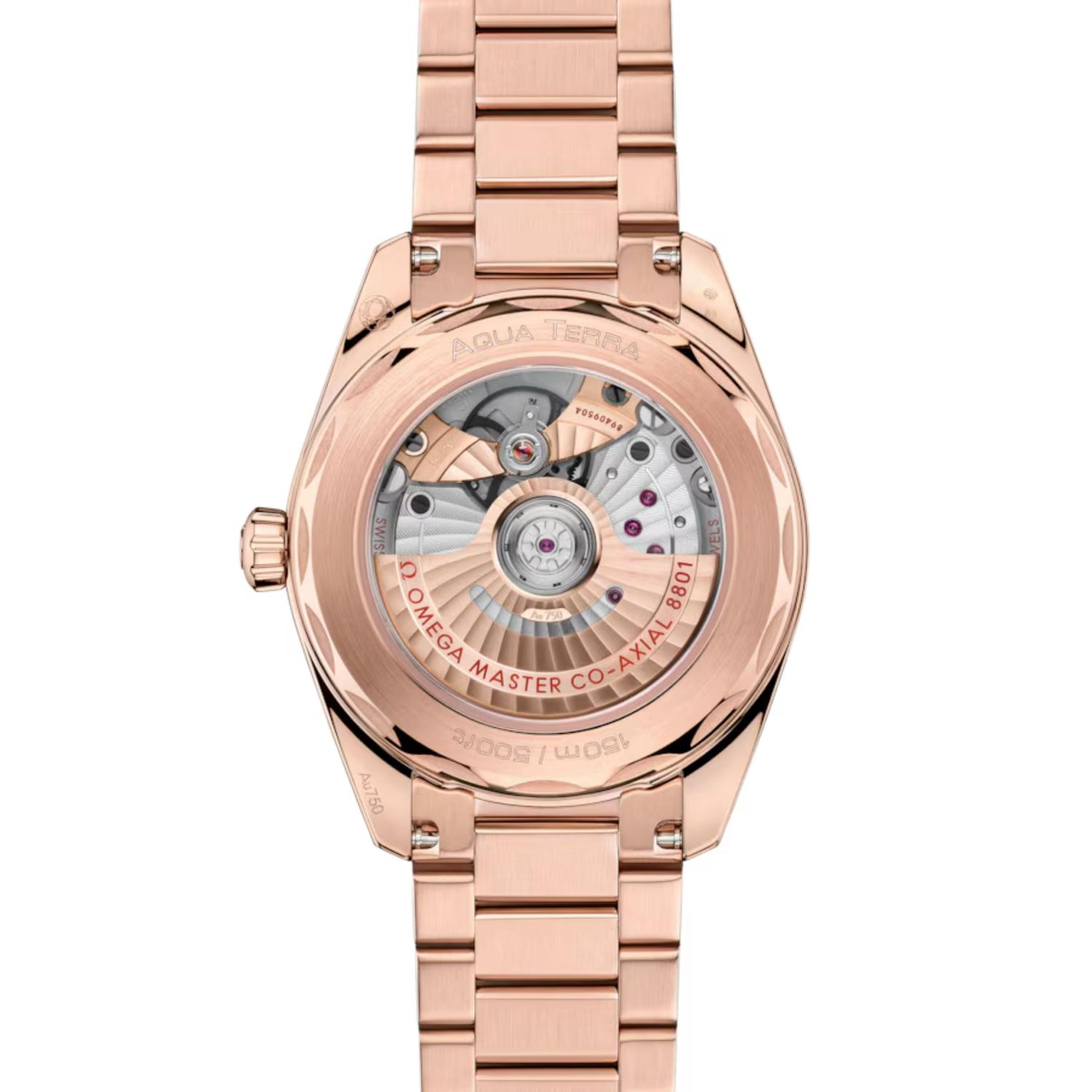 Seamaster Aqua Terra Shades