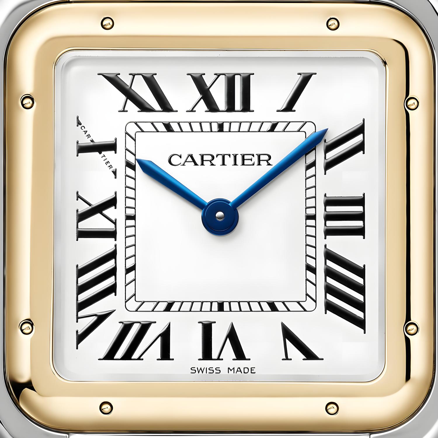 Panthère de Cartier