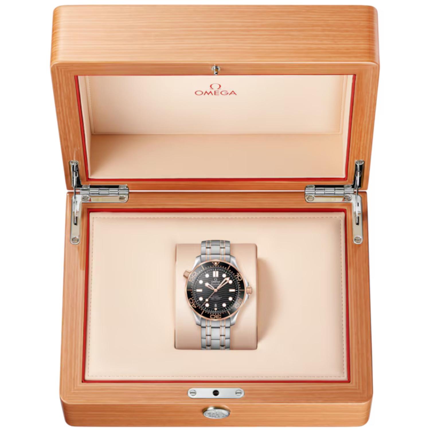 Seamaster Diver 300M