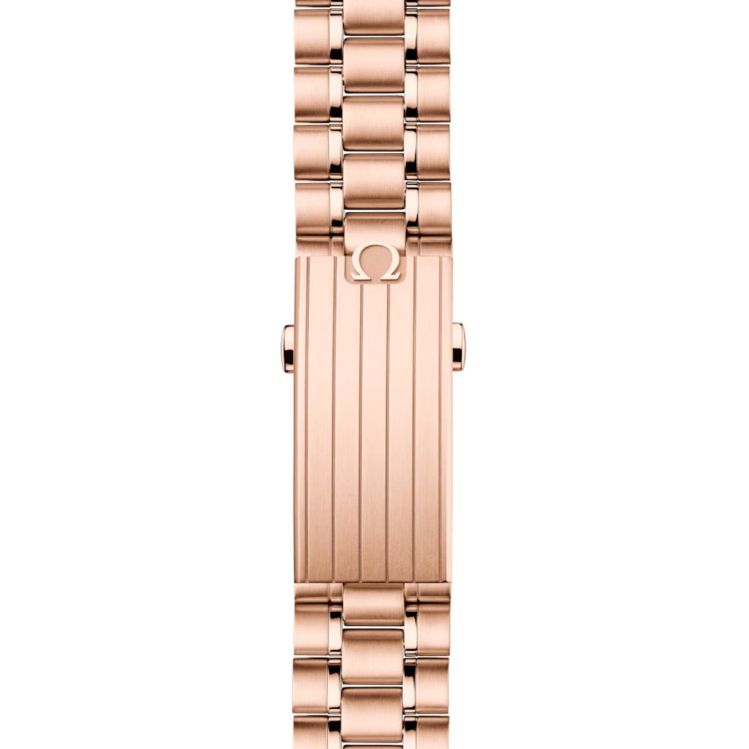 Speedmaster Moonwatch Professional