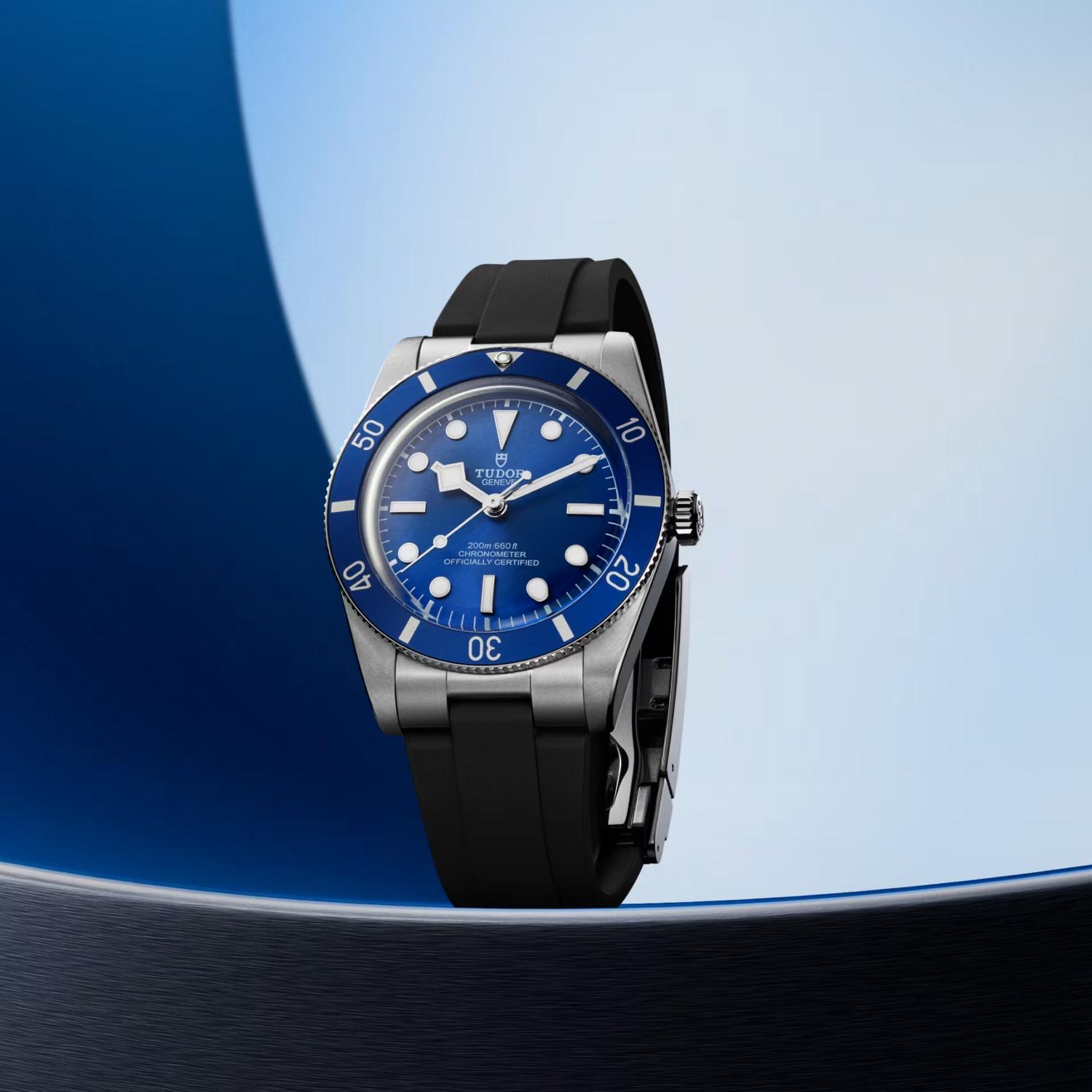 Black Bay 54