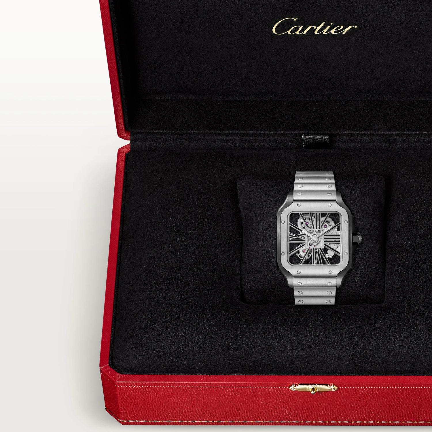 Santos de Cartier Skeleton