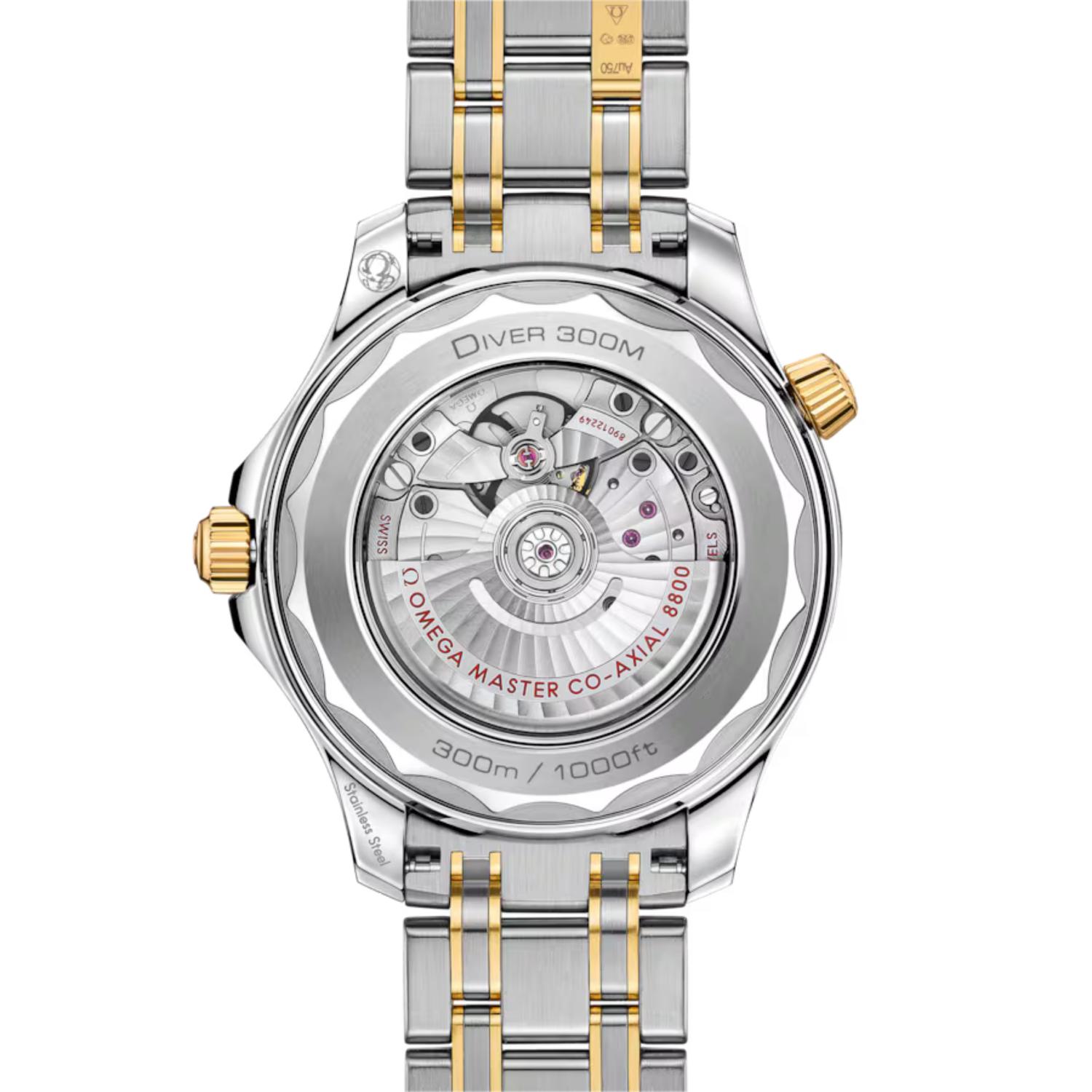 Seamaster Diver 300M