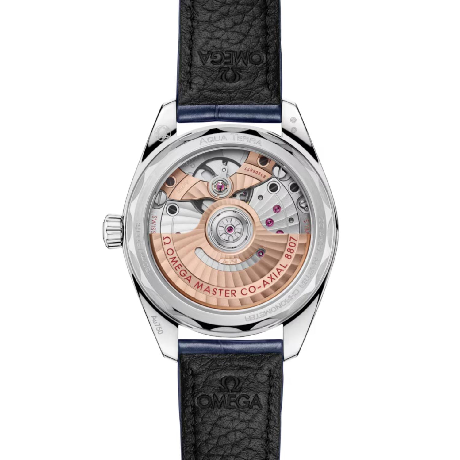 Seamaster Aqua Terra 150M