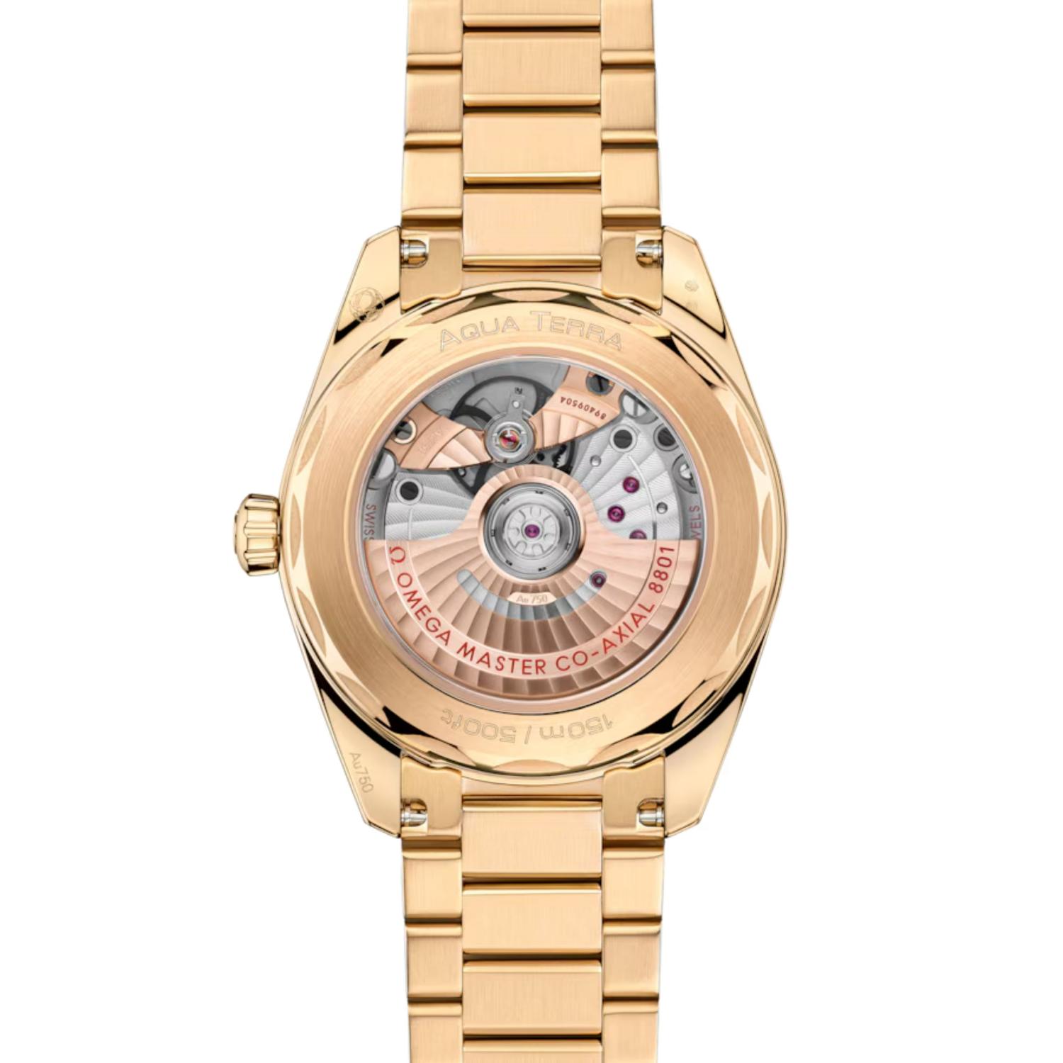 Seamaster Aqua Terra Shades