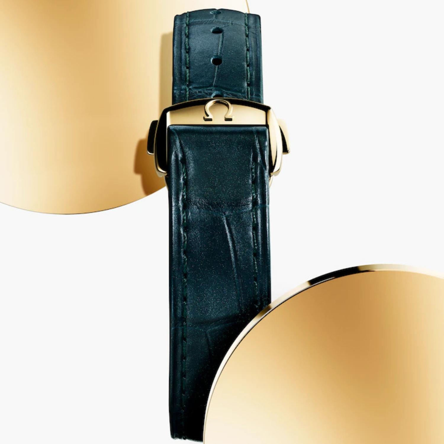 Seamaster Aqua Terra Shades