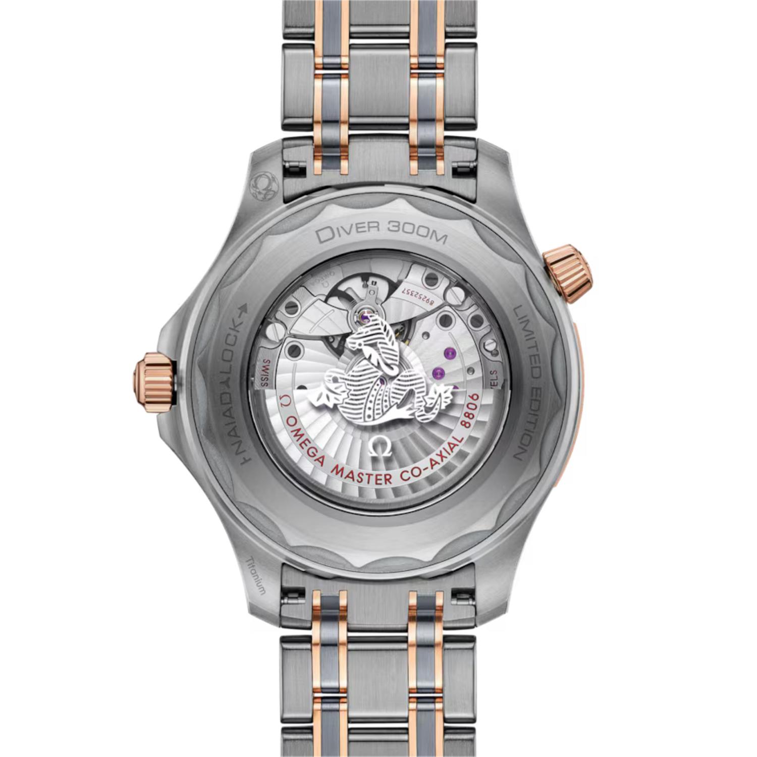 Seamaster Diver 300M