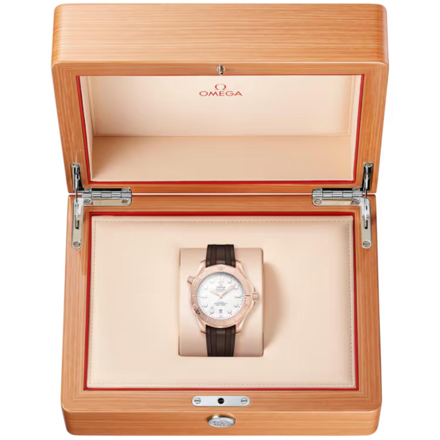 Seamaster Diver 300M