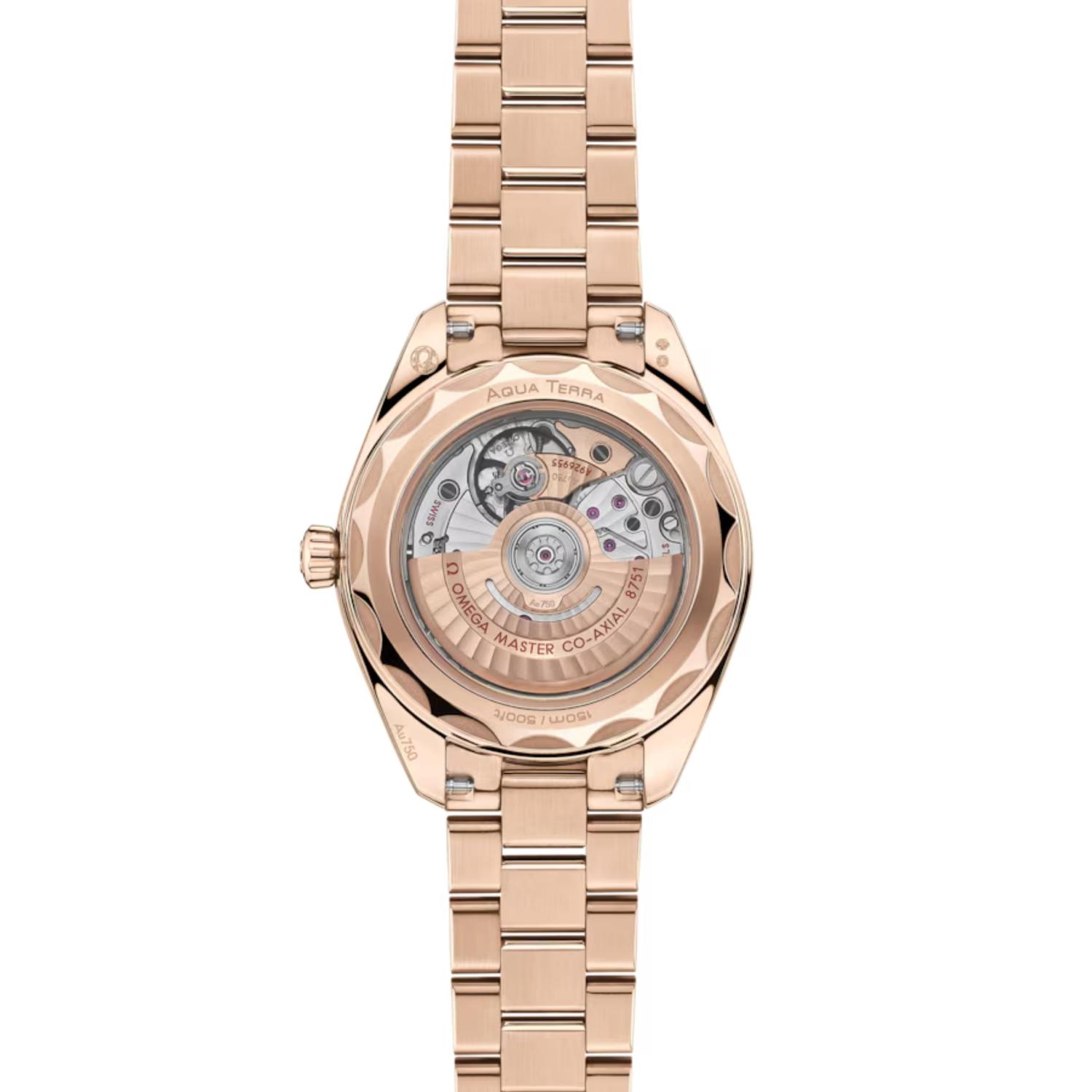 Seamaster Aqua Terra 150M